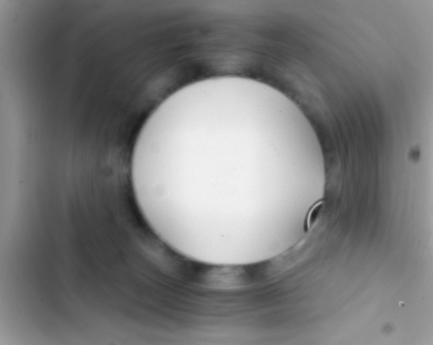 X0000103310179200809191926