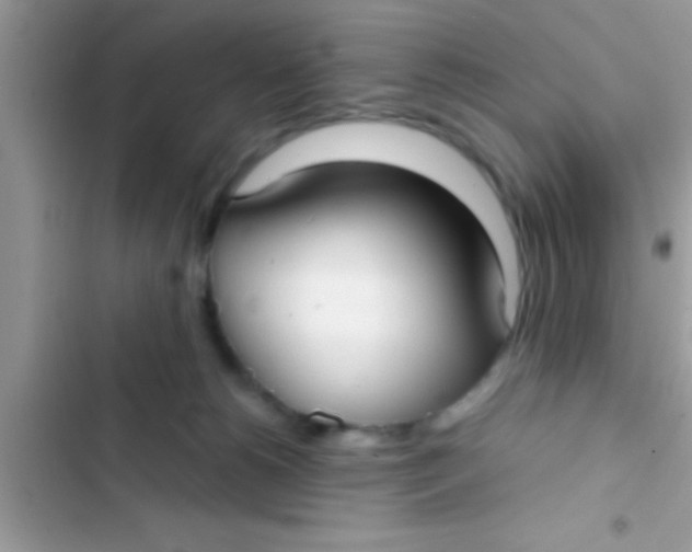 X0000103310180200809191926