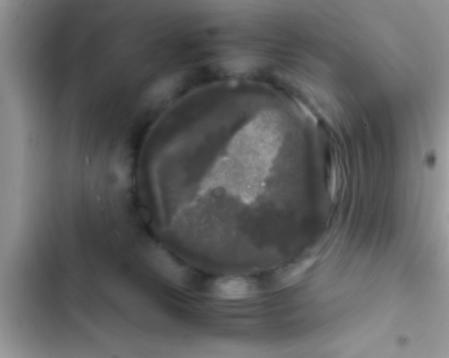 X0000103310181200809191926