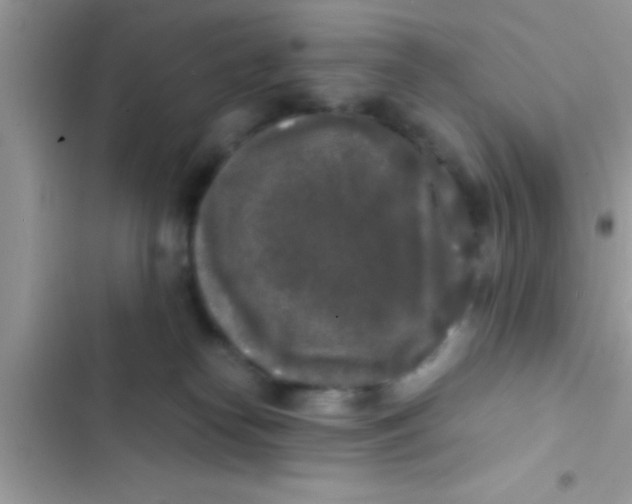 X0000103310182200809191926