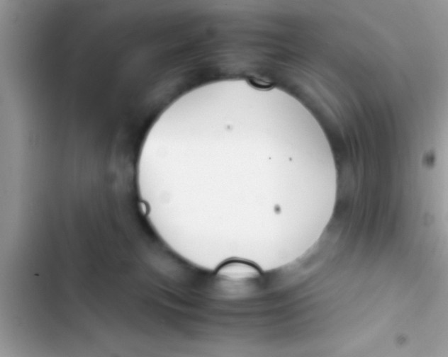 X0000103310183200809191926