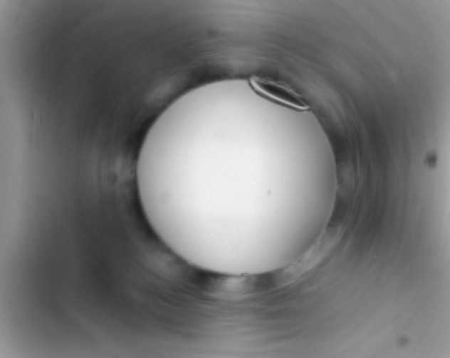 X0000103310184200809191926