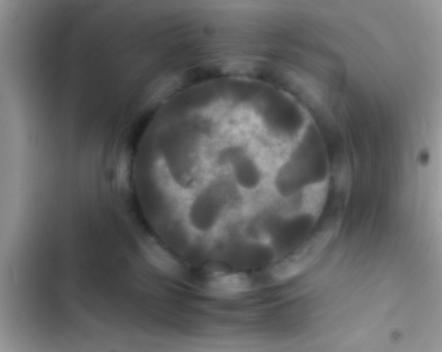 X0000103310185200809191926