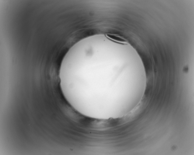 X0000103310186200809191926