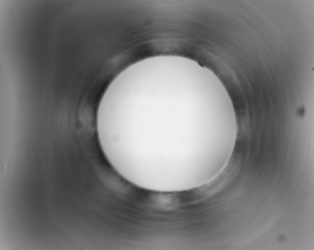 X0000103310187200809191926