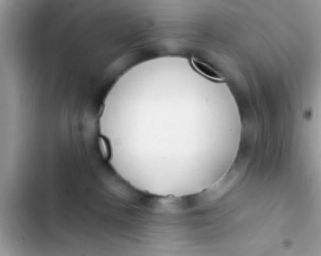 X0000103310188200809191926