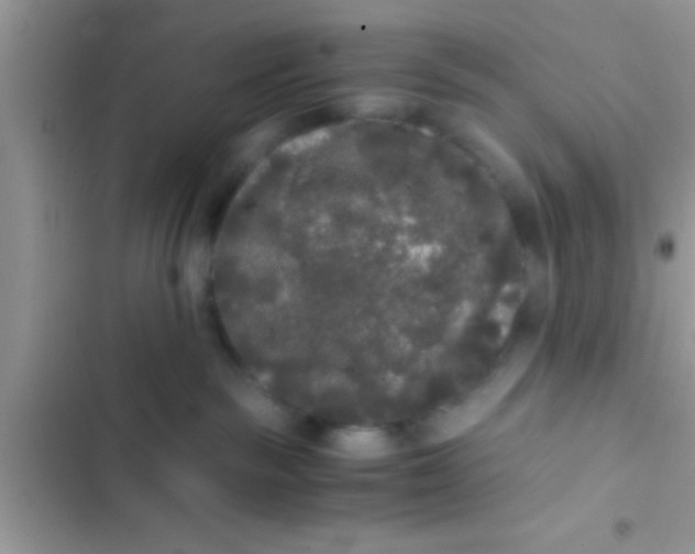 X0000103310189200809191926