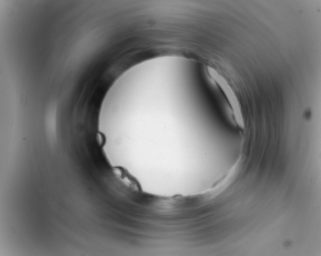 X0000103310190200809191926