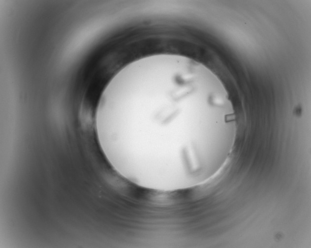 X0000103310191200809191926