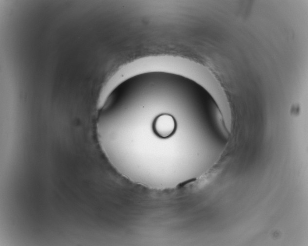 X0000103310192200809191926