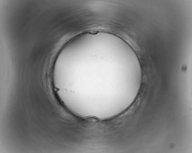 X0000103310193200809191926