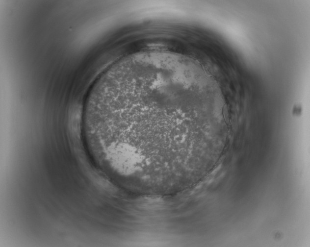 X0000103310194200809191926