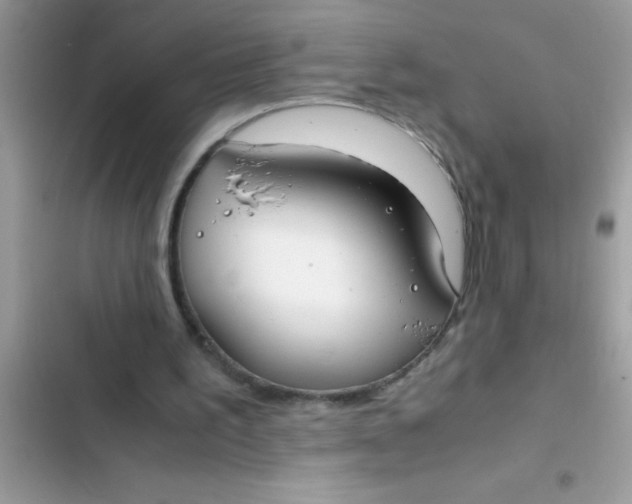 X0000103310195200809191925