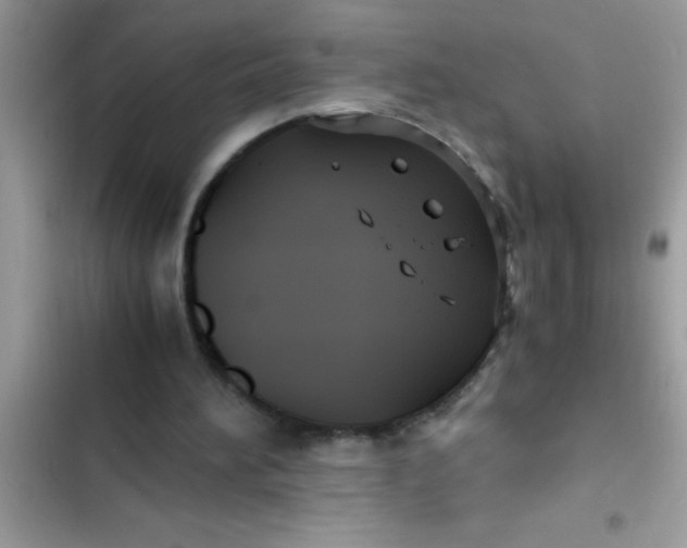 X0000103310196200809191925