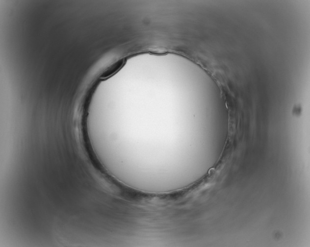 X0000103310197200809191925