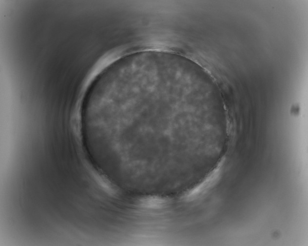 X0000103310198200809191925