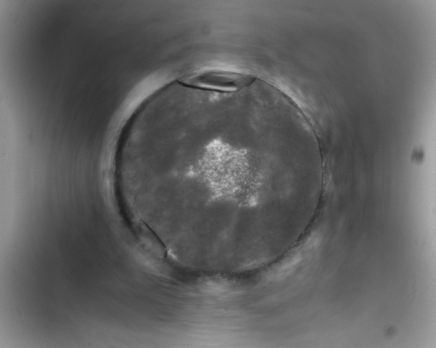 X0000103310199200809191925