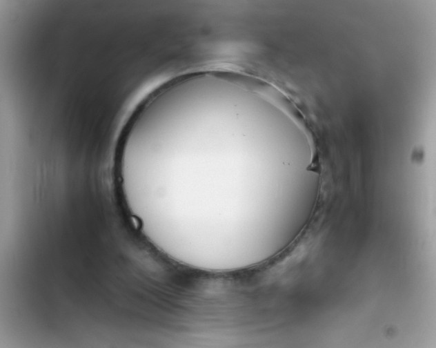 X0000103310200200809191925