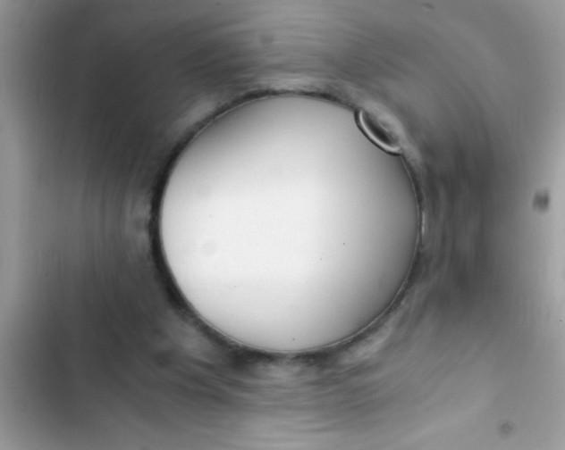 X0000103310201200809191925