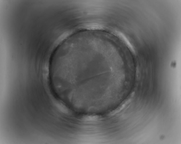 X0000103310202200809191925