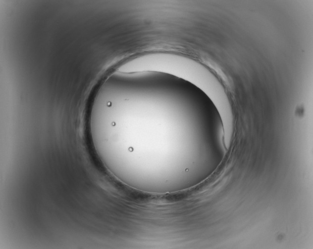 X0000103310203200809191925