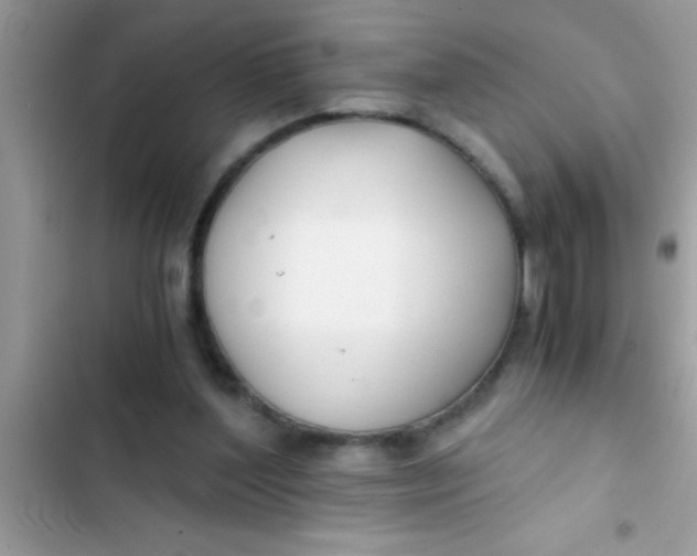 X0000103310204200809191925