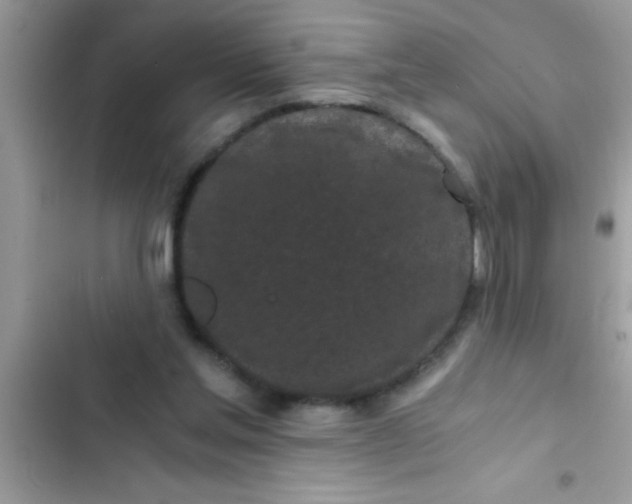 X0000103310205200809191925