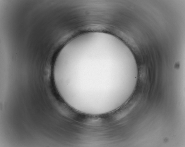 X0000103310206200809191925