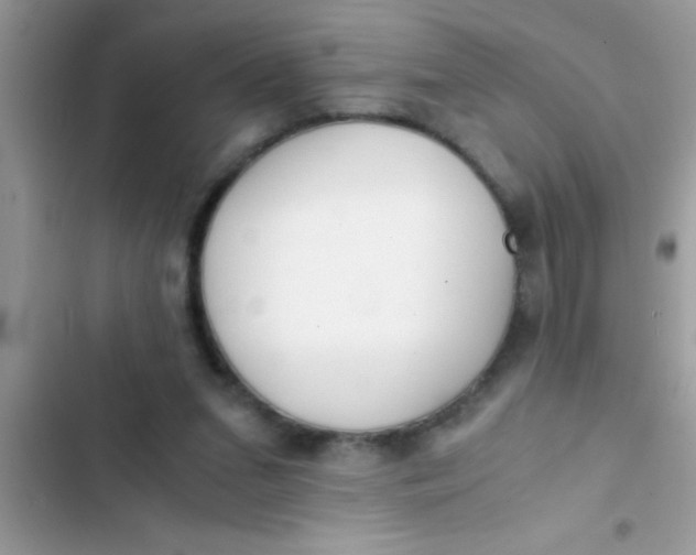 X0000103310207200809191925