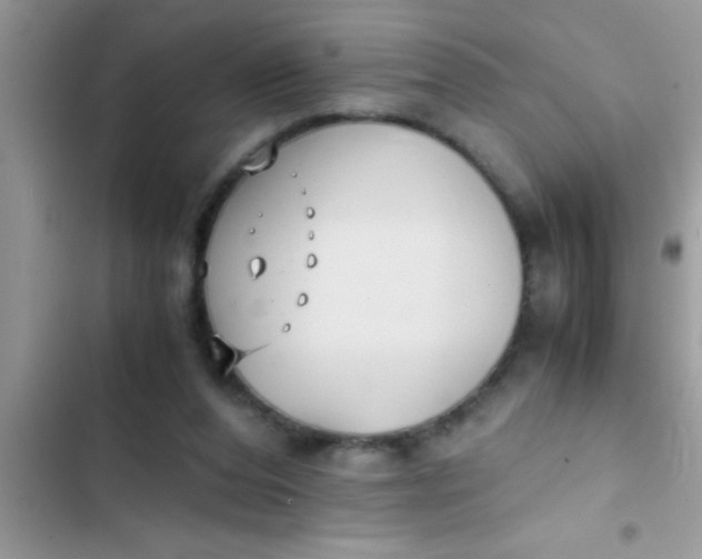 X0000103310208200809191925