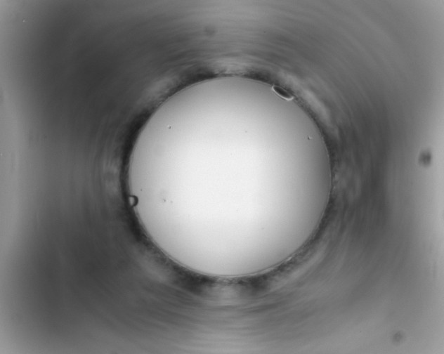 X0000103310209200809191925