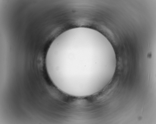 X0000103310210200809191925