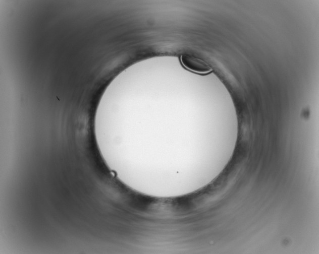 X0000103310211200809191925