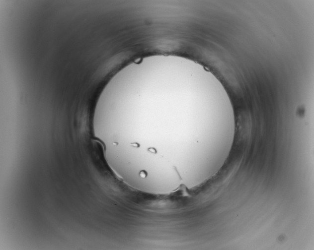 X0000103310212200809191925