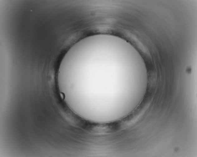 X0000103310213200809191925