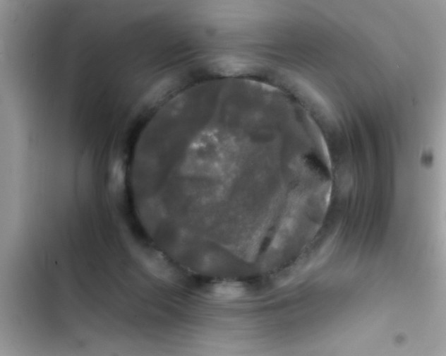 X0000103310214200809191925