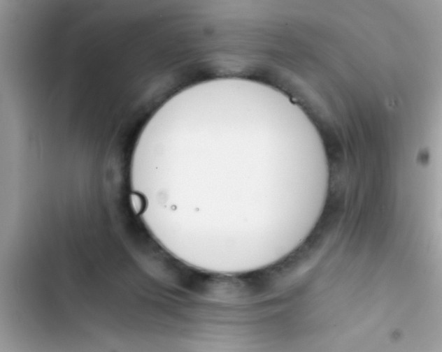 X0000103310215200809191925