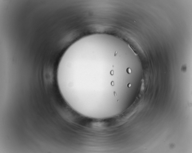 X0000103310216200809191925