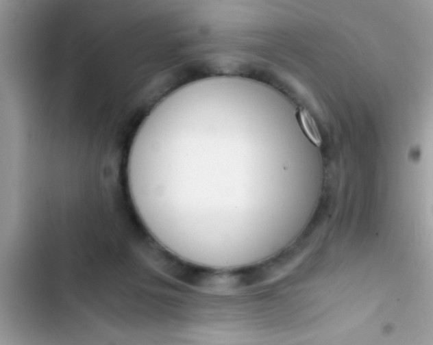 X0000103310217200809191925