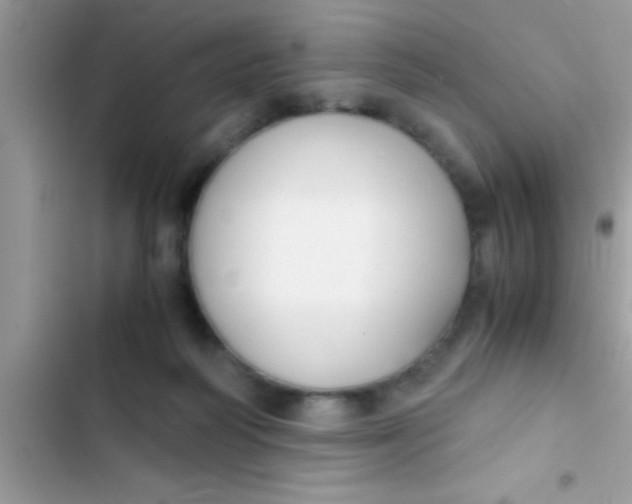 X0000103310218200809191925