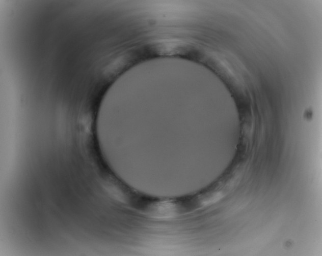 X0000103310219200809191925