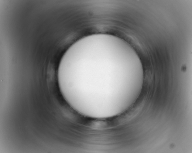 X0000103310220200809191925