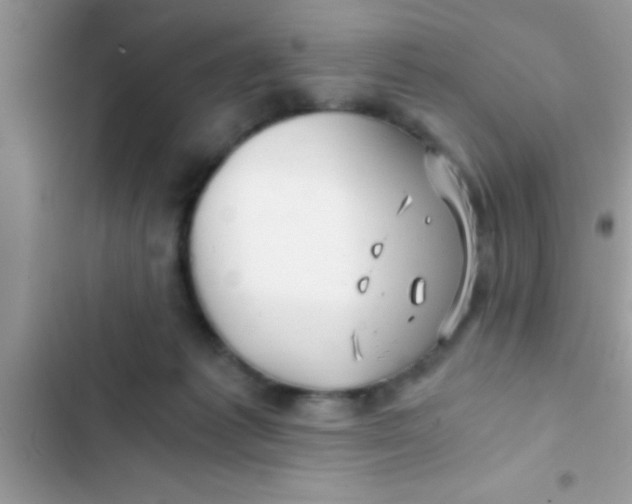 X0000103310221200809191925