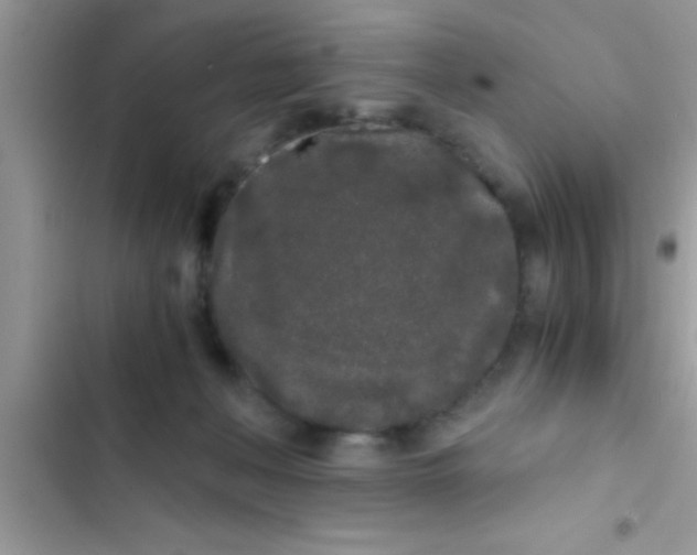 X0000103310222200809191925