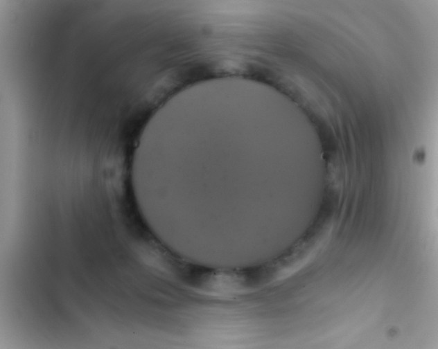 X0000103310223200809191925