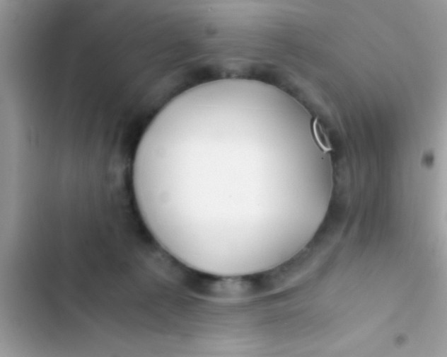 X0000103310225200809191925