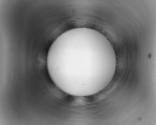 X0000103310226200809191925