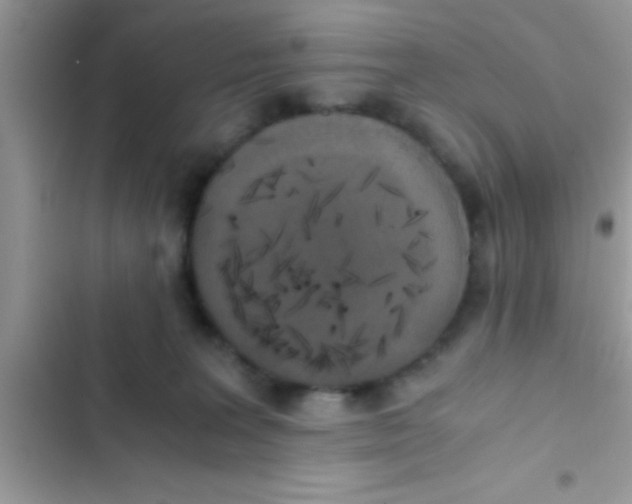 X0000103310227200809191925