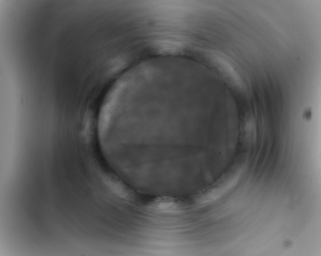 X0000103310228200809191925