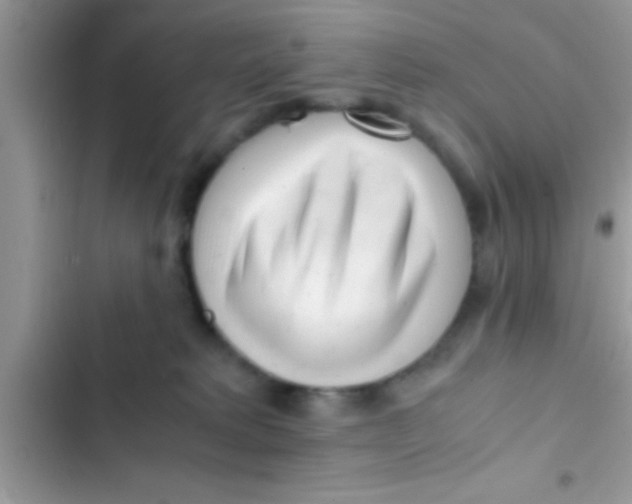 X0000103310229200809191925